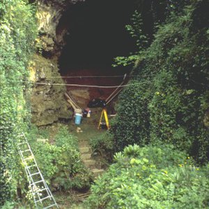 fc_300x300.jpg