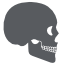 fossils